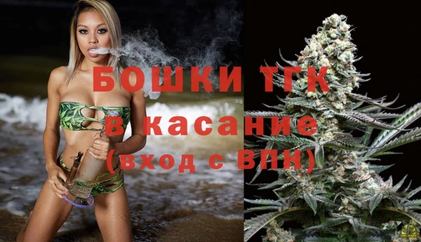 тгк Аркадак