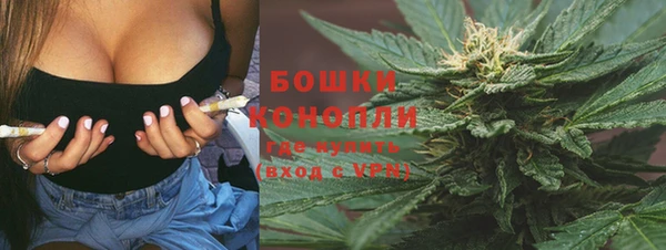спиды Арсеньев