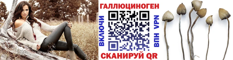Галлюциногенные грибы Magic Shrooms  Протвино 